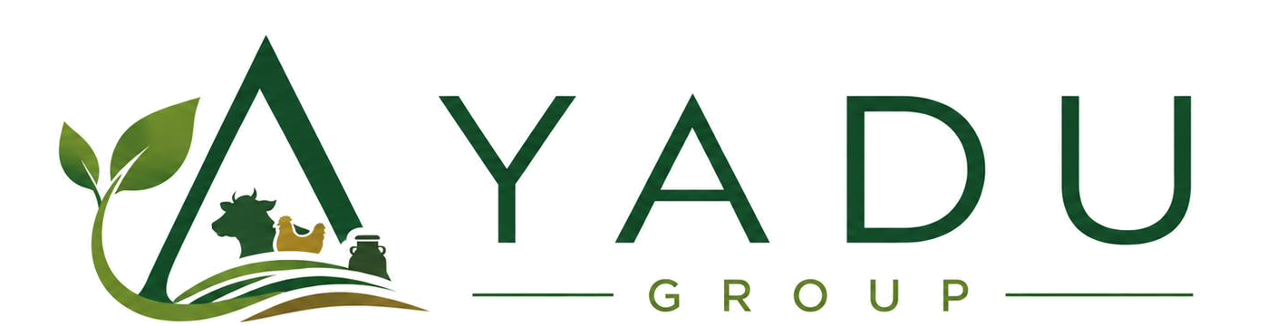 AYADU Group
